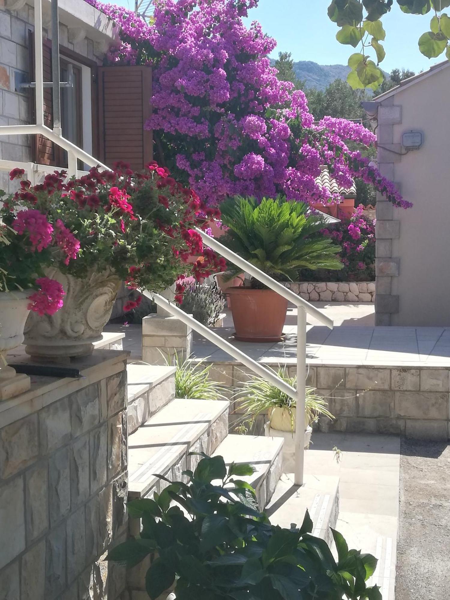 Villa Mali Raj Zaton  Esterno foto